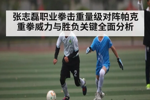 张志磊职业拳击重量级对阵帕克重拳威力与胜负关键全面分析
