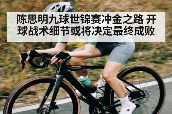 陈思明九球世锦赛冲金之路 开球战术细节或将决定最终成败